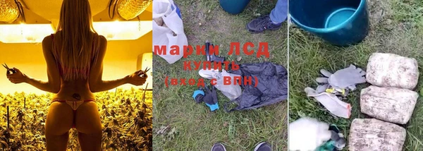 spice Абинск