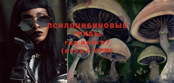 тгк Абдулино