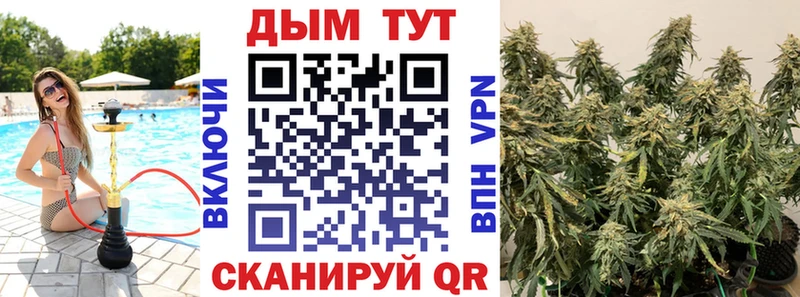цены наркотик  Трубчевск  Конопля марихуана 